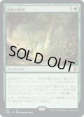 原始の報奨/Primeval Bounty (CLB)【統率者デッキ】