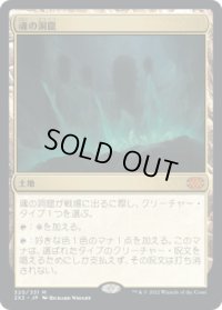 魂の洞窟/Cavern of Souls (2X2)《Foil》