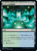 シミックの成長室/Simic Growth Chamber (2X2)