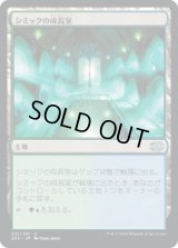 シミックの成長室/Simic Growth Chamber (2X2)