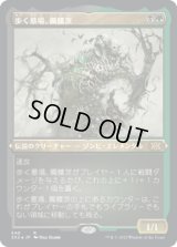 歩く墓場、髑髏茨/Skullbriar, the Walking Grave (2X2)【エッチング・フォイル版】