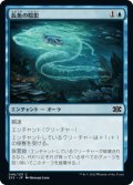 長魚の陰影/Eel Umbra (2X2)