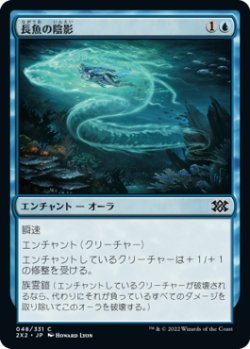 画像1: 長魚の陰影/Eel Umbra (2X2)