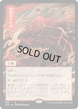 画像1: 背骨岩の小山/Spinerock Knoll (439) (SLD)