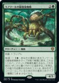 ラノワールの緑後家蜘蛛/Llanowar Greenwidow (DMU)