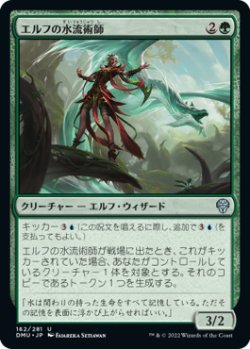 画像1: エルフの水流術師/Elvish Hydromancer (DMU)《Foil》