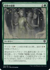 荒野の偵察/Scout the Wilderness (DMU)
