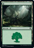 森/Forest 【Ver.3】 (DMU)《Foil》