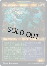 潮に仕えるもの、タトヨヴァ/Tatyova, Steward of Tides (DMU)【テクスチャー・フォイル版】