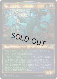潮に仕えるもの、タトヨヴァ/Tatyova, Steward of Tides (DMU)【テクスチャー・フォイル版】