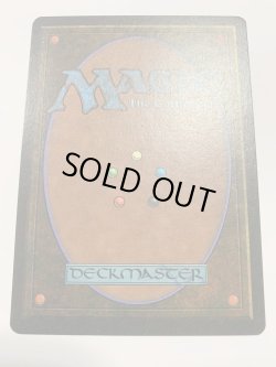 画像2: 森の知恵/Sylvan Library (LEG)  【EX〜EX-】B