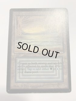 画像1: Underground Sea　 (LEB)   【EX〜EX-】A