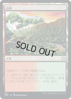 画像1: 山峡/Mountain Valley (DMC)