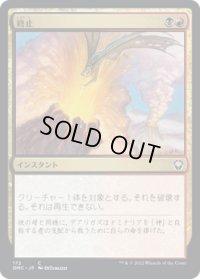 終止/Terminate (DMC)