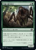 穴掘り剃刀大口/Burrowing Razormaw (BRO)