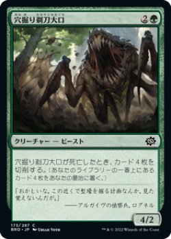 画像1: 穴掘り剃刀大口/Burrowing Razormaw (BRO)《Foil》