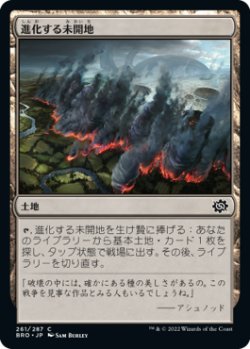 画像1: 進化する未開地/Evolving Wilds (BRO)《Foil》