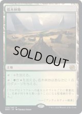 低木林地/Brushland (BRO)