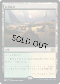 低木林地/Brushland (BRO)