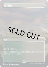 低木林地/Brushland (BRO)【拡張アート版】