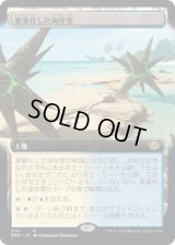 要塞化した海岸堡/Fortified Beachhead (BRO)【拡張アート版】