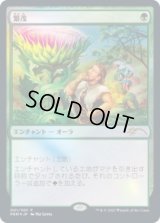 繁茂/Wild Growth (Book)