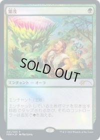 繁茂/Wild Growth (Book)