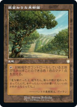 画像1: 風変わりな果樹園/Exotic Orchard (BRC)