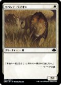サバンナ・ライオン/Savannah Lions (DMR)