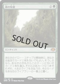 森の知恵/Sylvan Library (DMR)