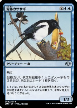 画像1: 泥棒カササギ/Thieving Magpie (DMR)