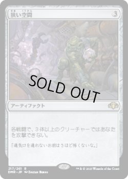 画像1: 狭い空間/Crawlspace (DMR)