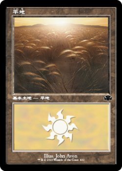 画像1: 平地/Plains 【Ver.1】 (DMR)《Foil》