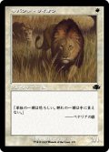 サバンナ・ライオン/Savannah Lions (DMR)【旧枠版】