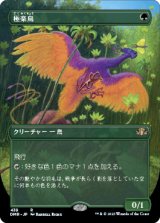 極楽鳥/Birds of Paradise (DMR)【拡張アート版】