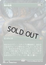 森の知恵/Sylvan Library (DMR)【拡張アート版】《Foil》