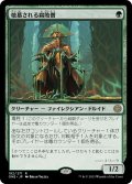 敬慕される腐敗僧/Venerated Rotpriest (ONE)