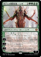 向上した精霊信者、ニッサ/Nissa, Ascended Animist (ONE)