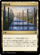 祖先の道/Path of Ancestry (ONC)