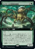 ラノワールの緑後家蜘蛛/Llanowar Greenwidow (DMU)【拡張アート版】《Foil》