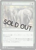 獣群の呼び声/Call of the Herd (DMR)《Foil》