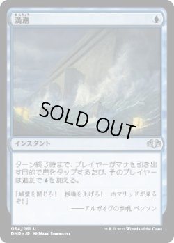 画像1: 満潮/High Tide (DMR)《Foil》