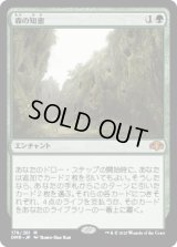 森の知恵/Sylvan Library (DMR)《Foil》