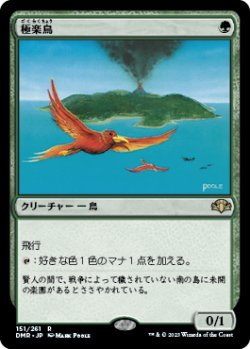 画像1: 極楽鳥/Birds of Paradise (DMR)《Foil》