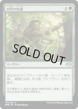 自然の知識/Nature's Lore (DMR)《Foil》