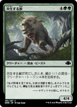 画像1: 共生する獣/Symbiotic Beast (DMR)《Foil》