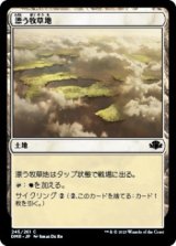 漂う牧草地/Drifting Meadow (DMR)《Foil》