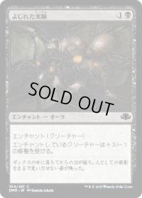 よじれた実験/Twisted Experiment (DMR)《Foil》