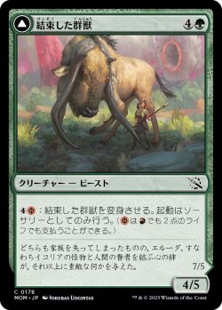 画像1: 結束した群獣/Bonded Herdbeast (MOM)《Foil》