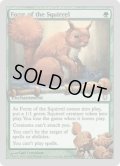 Form of the Squirrel (UNH)